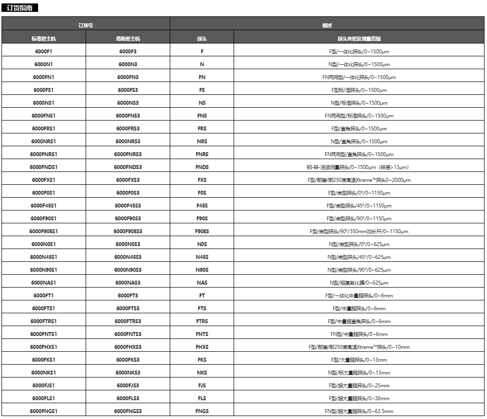 Defelsko狄夫斯高涂层测厚6000FNS3
