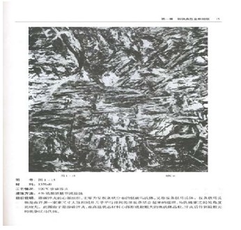 金相显微镜的结构与使用方法