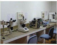 金相显微镜的结构与使用方法