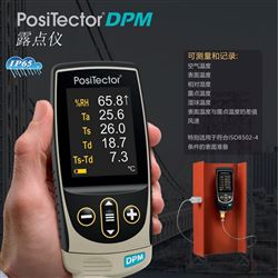 DeFelsko狄夫斯高Positector露点仪DPM1